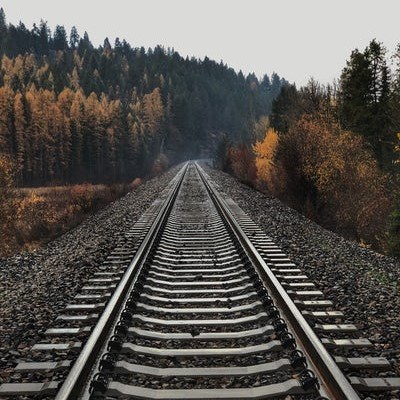Railroad tracks through a forested landscape